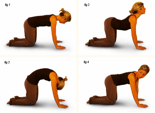 8 упражнений и поз из йоги, с которыми вы навсегда забудете о болях в спине